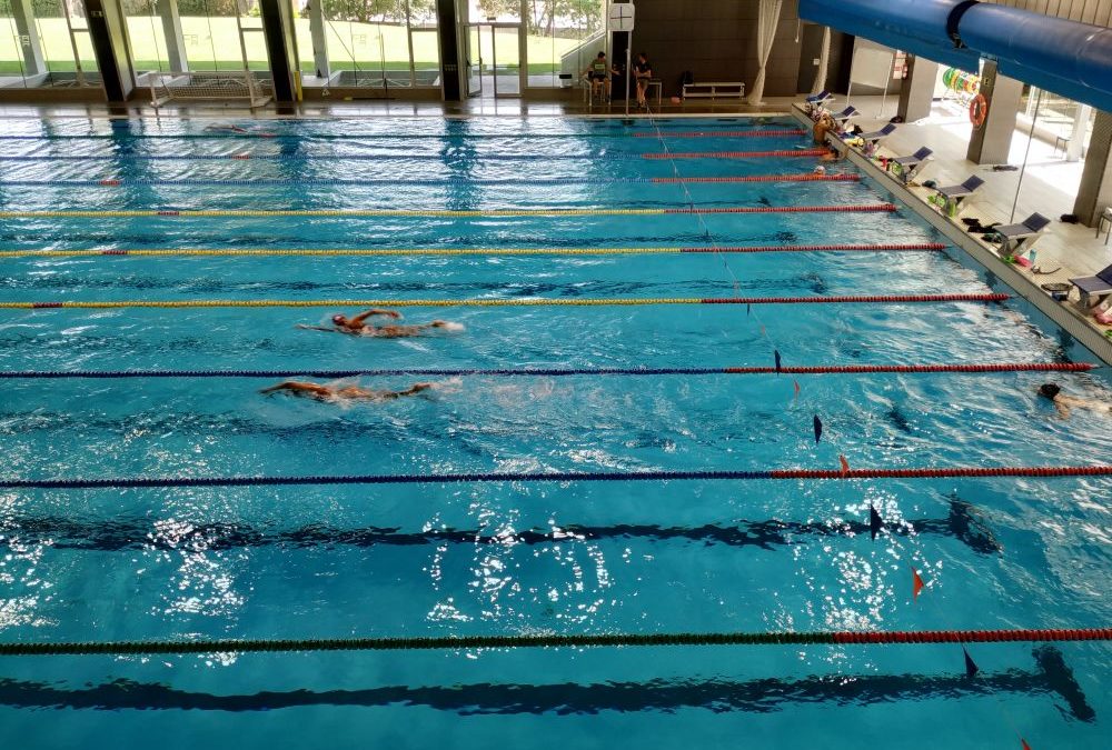 Premium Madrid en la concentración del equipo nacional de natación junior