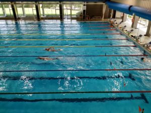 concentración- equipo-nacional-natación-junior