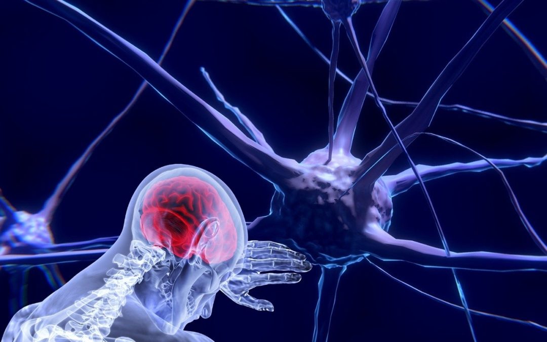 Neuroplasticidad y aprendizaje motor tras un daño cerebral sobrevenido