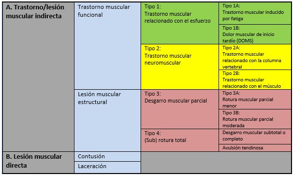 Clasificación de los trastornos y lesiones musculares agudas